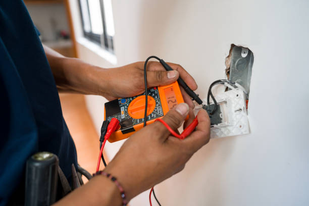 Best Electrical System Inspection  in Nes, IL