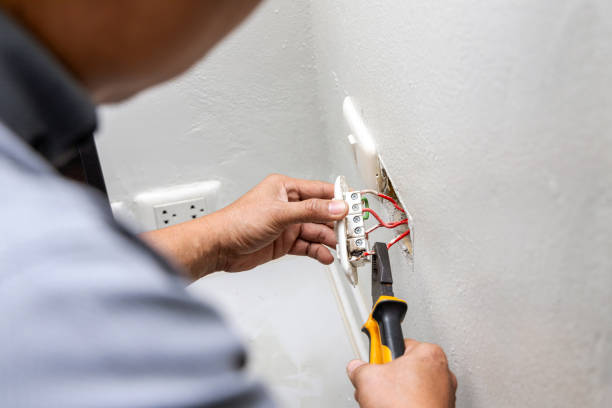 Best Home Electrical Repair  in Nes, IL